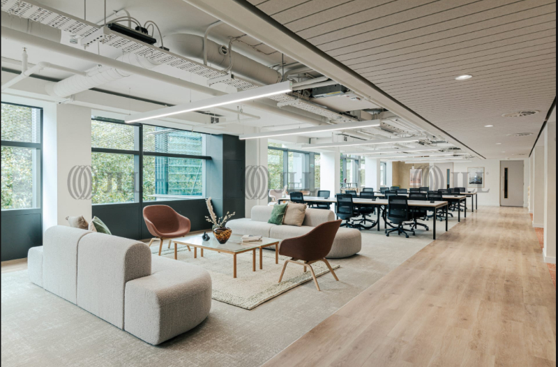 The Tower - The Bower